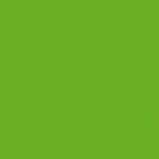 Пленка самоклеящаяся COLOR DECOR 0,45х8м Зеленое яблоко 2013